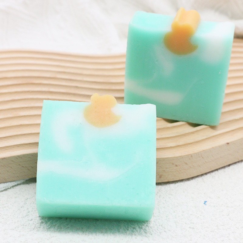 Cross-border plant rendering essential oil soap handmade soap bar facial body cleansing soap gift soap jelly soap