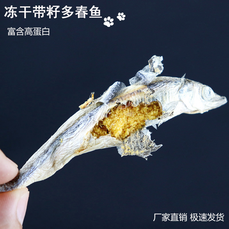Pet snacks freeze-dried spring fish with seeds manufacturer wholesale dropshipping dried fish meat dog and cat snacks