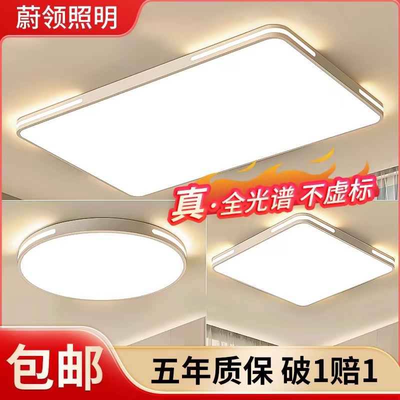 Ultra-thin LED ceiling lamp Nordic round long high-end lamp simple modern home balcony room master bedroom lamp