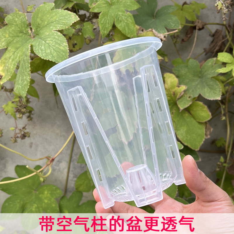 New Phalaenopsis Flower Pot Qingshan Root Control Perforated Flower Pot Philodendron Bamboo Alocasia Indoor Transparent Flower Pot Wholesale