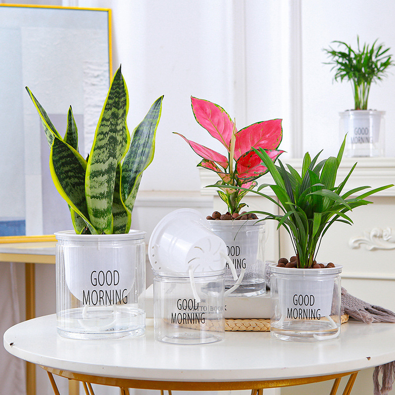 Automatic water-absorbing transparent lazy pot factory direct sales creative round office desktop green plant hydroponic plastic flower pot