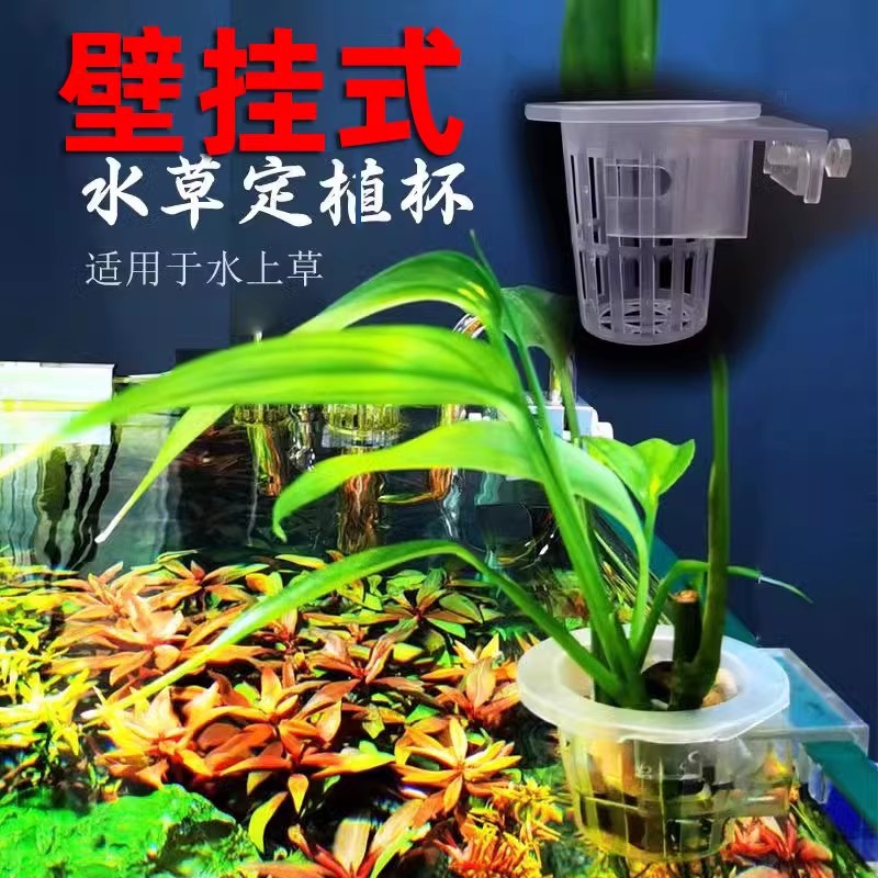 Yamazaki laurel planting cup water grass cup water grass hydroponic wall-mounted planting basket fish tank decoration landscaping accessories