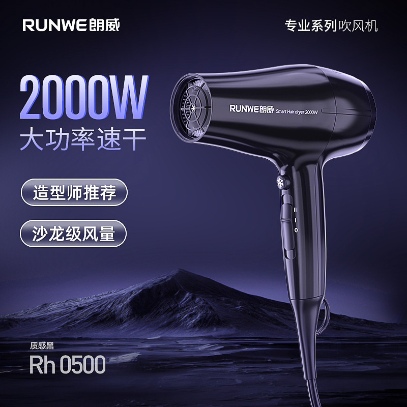 Langwei Barber Shop High Power Professional Hair Dryer Blue Light Negative Ion Hot and Cold Hair Salon Small Home Appliances Wholesale Delivery