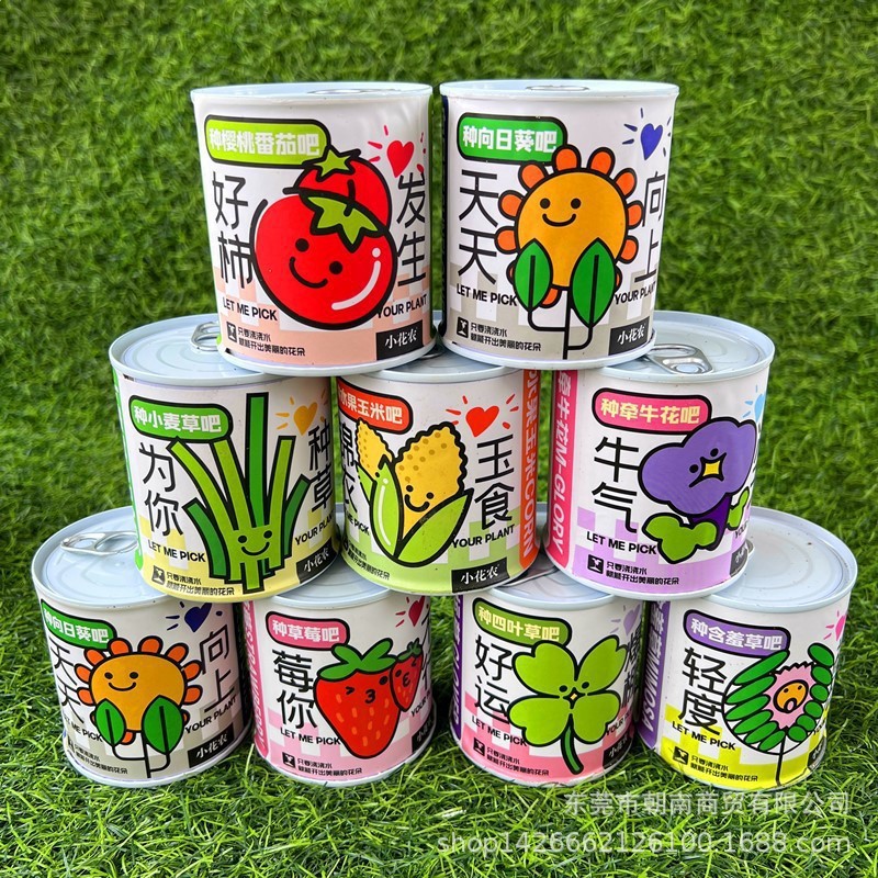 School opening gift blind box potted kindergarten gift indoor planting flower seeds student desktop green plant potted plant