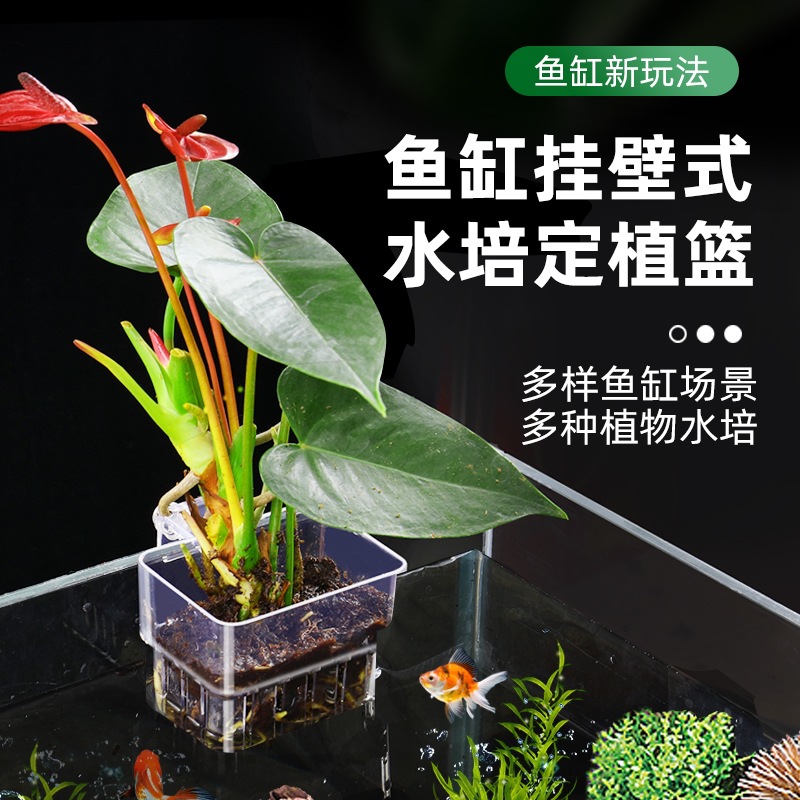 Green radish planting cup, water grass cup, water grass, hydroponic emergent plant, hanging planting basket, fish tank decoration and landscaping accessories