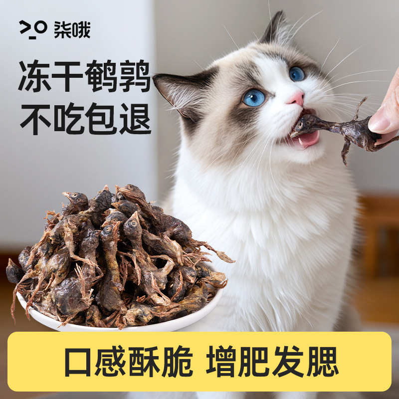 Quail freeze-dried cat snacks, cat snacks for weight gain, cheek growth, teeth grinding, calcium supplement, pet dog, adult cat food