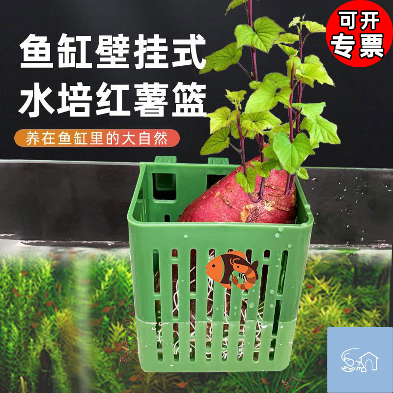 Fish tank hydroponic planting basket wall-mounted aquatic grass cup water emergent plant planting basket fish tank landscaping decorative accessories